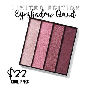 Beautiful Cool Shade Pink Eyeshadow Quad NIB